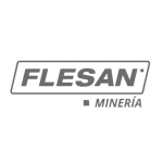 4-flesan
